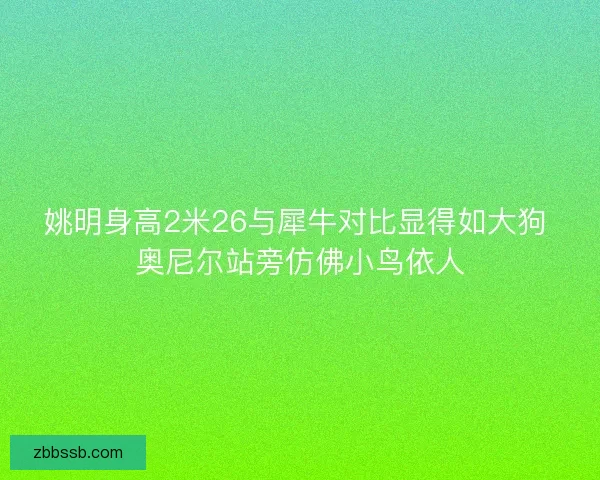 姚明身高2米26与犀牛对比显得如大狗 奥尼尔站旁仿佛小鸟依人